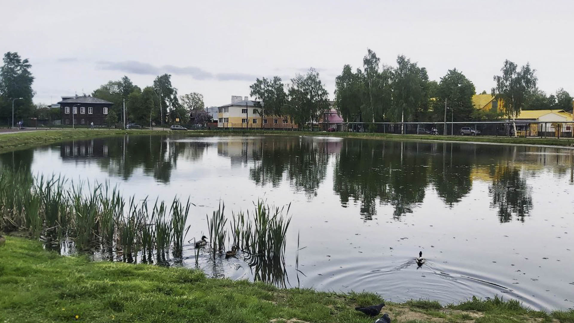 Установка плавающего фонтана в городском парке по ул.Фрунзе, г.Богородск 