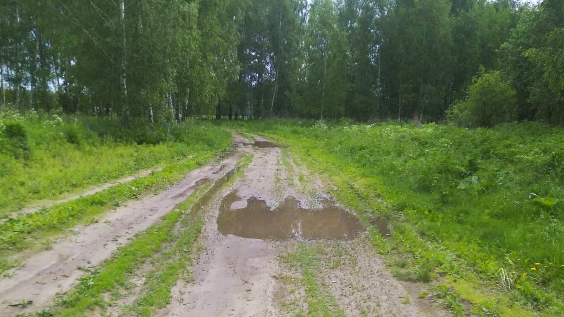 Ремонт дороги к д.Ширшово