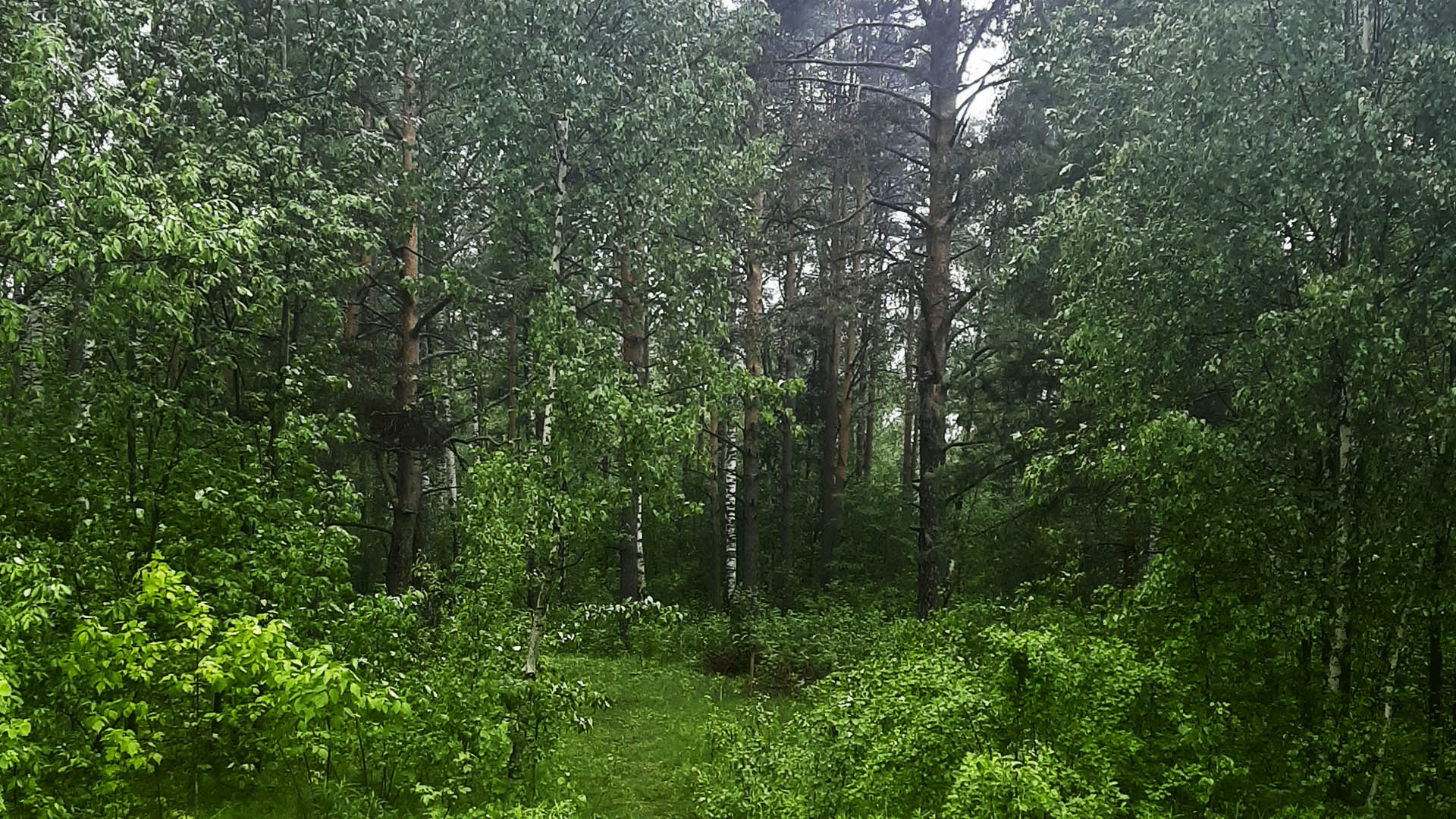 Благоустройство детской площадки в парке на ул.Центральная, р.п.Первомайский