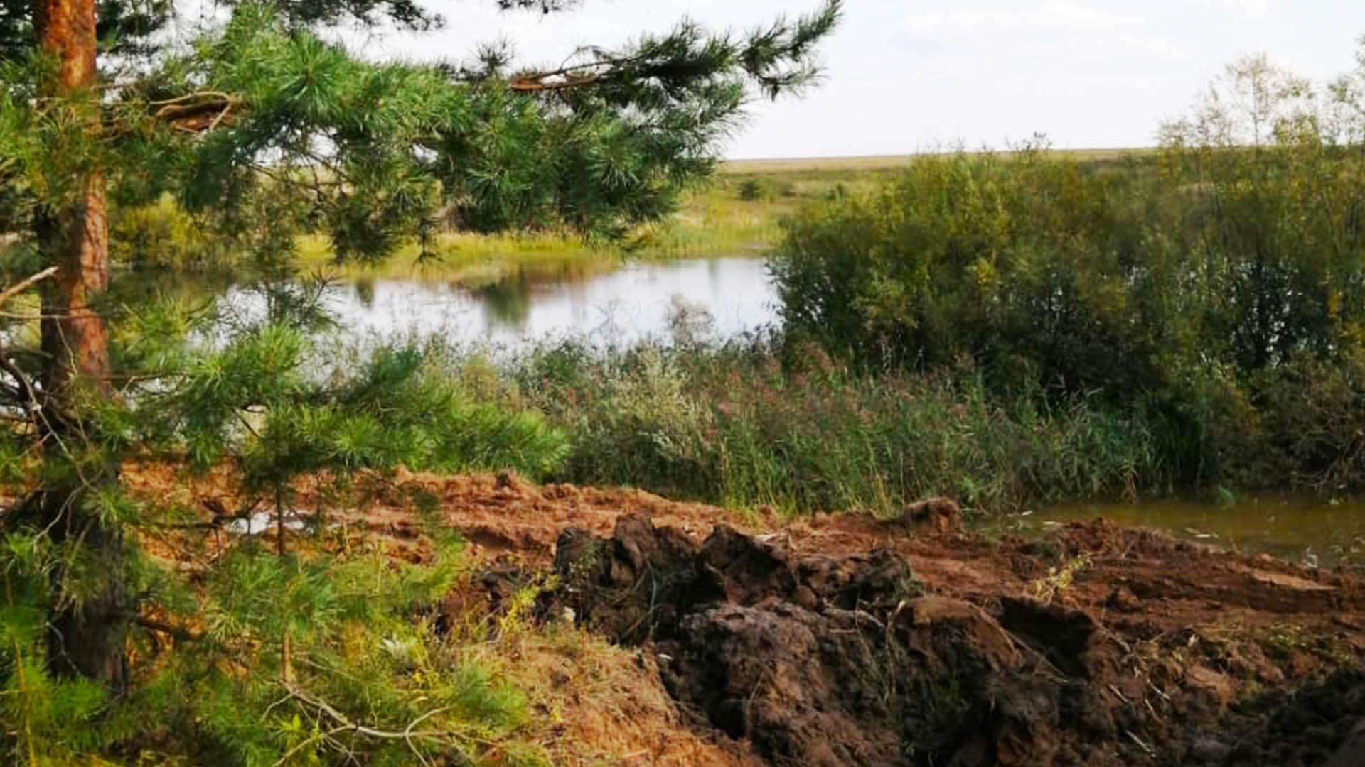 Обустройство велодорожки вокруг пруда "Техникумовский" по ул.Арзамасская, р.п.Ардатов