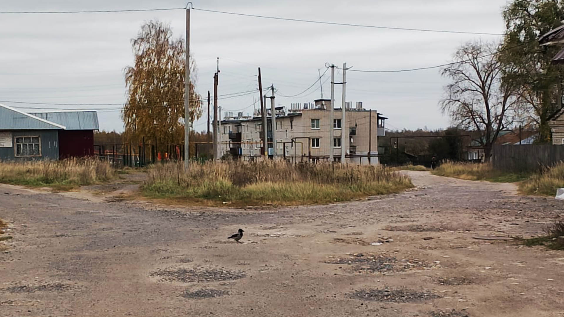 Ремонт дороги по ул.Строителей, с.Мурзицы