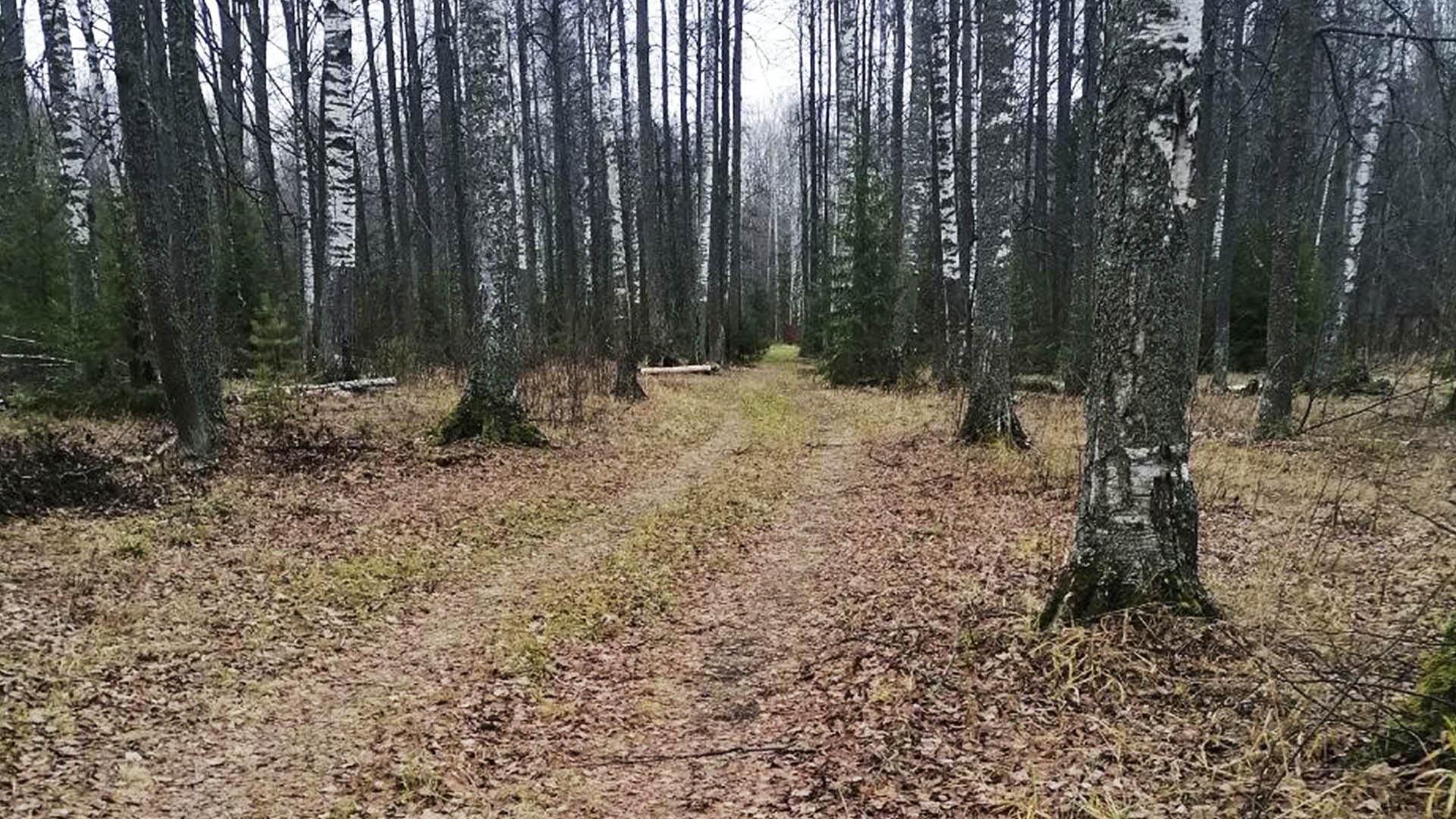 Ремонт дороги, р.п.Шайгино